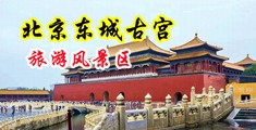 黑丝美女内射在线观看中国北京-东城古宫旅游风景区